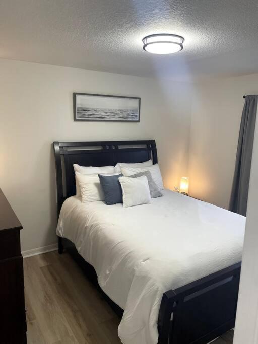 Riverside Riviera At Seminole Heights Tampa Extérieur photo